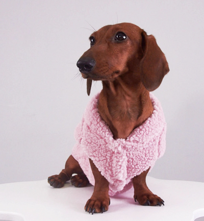 Chaleco de Lana para Mascotas - Abrigo Otoño e Invierno para Perros y Gatos - Image 13