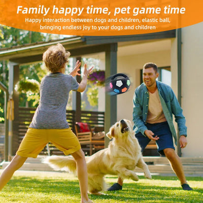 Juguetes para Perros Forma de Pelota de Tenis con Sonido - Alivio Dental y Entrenamiento - Image 14