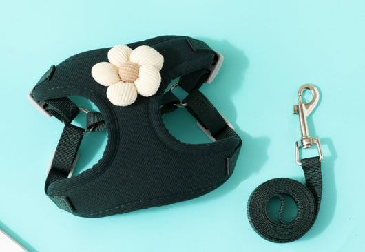 Arnés de Pecho para Perro con Correa de Cuerda - Sistema de Sujeción Corporal - Image 9