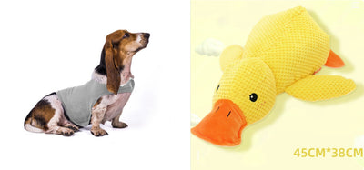 Chaleco Calmante para Mascotas - Ropa Terapéutica Antiansíedad para Gatos y Perros - Image 16
