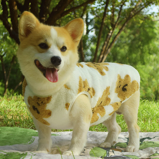 Chaleco Acolchado para Perros Medianos - Protección Térmica Invierno y Otoño - Image 17