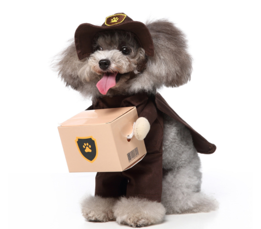 Disfraz para Mascotas Bípedo Divertido - Ropa de Perro para Halloween y Navidad - Image 14