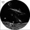 17 Space Warships
