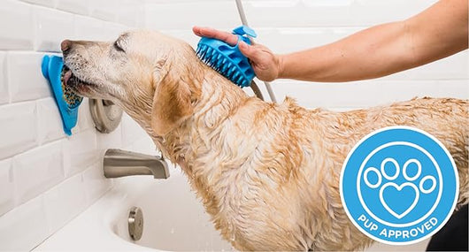 Herramienta de Baño para Mascotas - Compañero Perfecto para Ducha y Jardín - Image 10