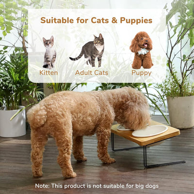 Comedero Inclinado para Perros Pequeños - Set de Tazones Cerámicos con Base de Bambú - Image 5