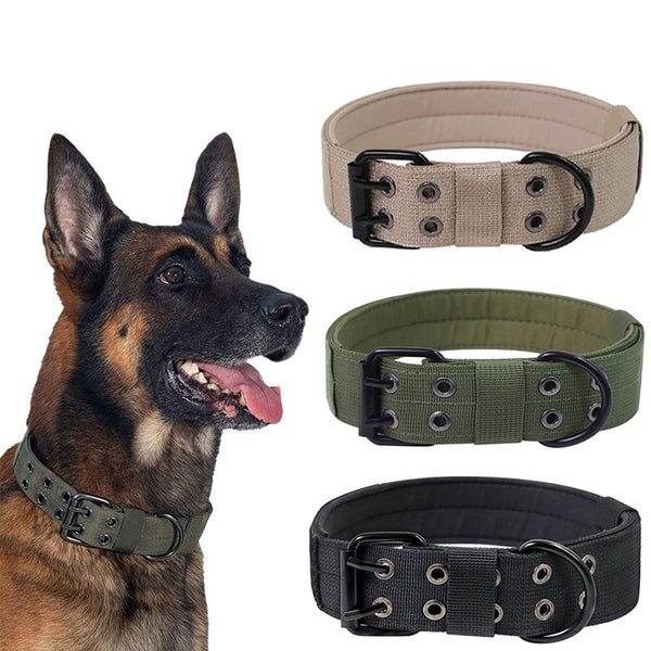 Collar Táctico Ajustable para Perros con Anilla Metálica y Hebilla Resistente