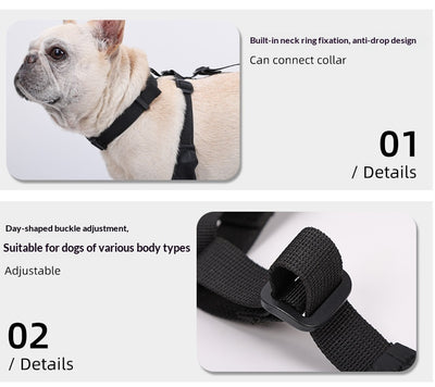Botines Protectores para Perros - Impermeables y Antideslizantes - Image 9