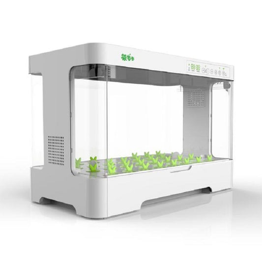 Sistema Automático de Cultivo Hidropónico sin Suelo - Image 2