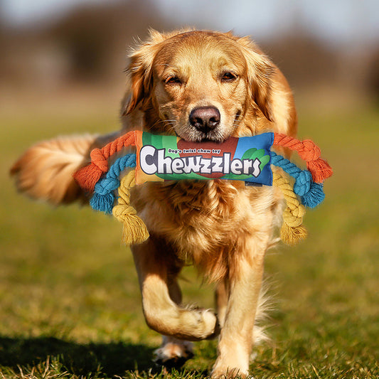 Juguete Masticable de Larga Duración para Mascotas