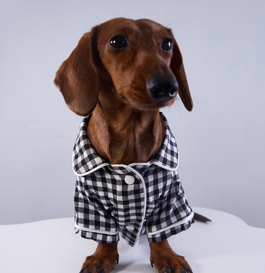 Pijamas Estilo Británico para Perros y Gatos - Image 11