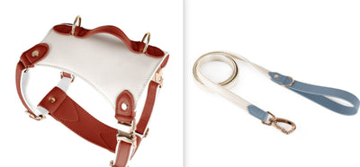 Arnés de Cuero para Mascotas con Cuerda Guía - Image 6