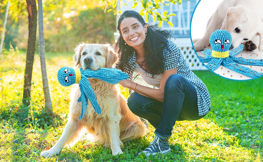 Juguete Interactivo Pulpo para Perros - Peluche con Texturas y Sonidos Crujientes - Image 10