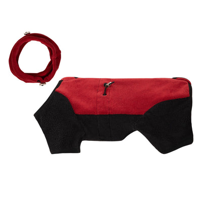 Abrigo Térmico para Mascotas con Cuello Desmontable Resistente al Viento - Image 8