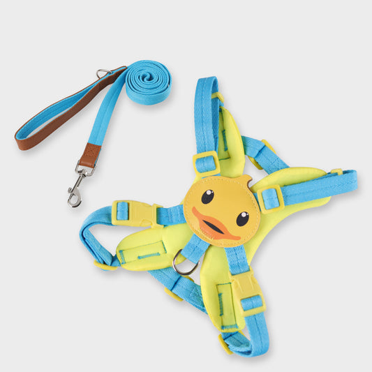 Correa de Paseo para Perros Pequeños con Estilo y Personalidad - Image 2