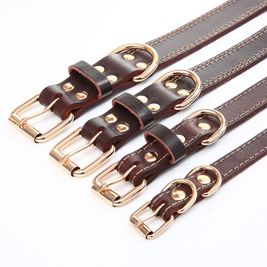 Collar para Perro en Cuero Genuino Premium - Image 4