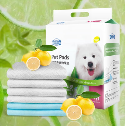 Pañales Absorbentes Reforzados para Mascotas - Image 9