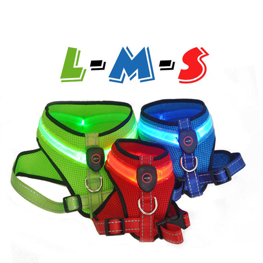 Arnés LED Iluminado para Perros con Carga USB - Image 4