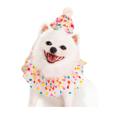 Traje de Cumpleaños para Perro con Encaje y Lunares - Image 4