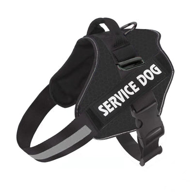 Arnés de Pecho Fashion para Perro con Correa Integrada - Image 13