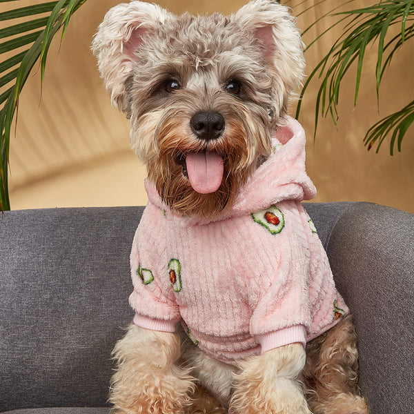 Sudadera Estampada Mascotas Aguacate - Gatos y Perros