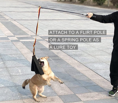 German Shepherd holding a black leather dog bite rag with a red, yellow, and black striped handle. - Image 16