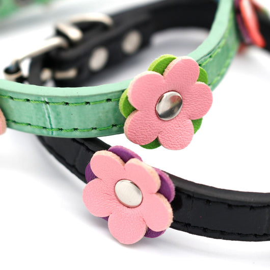 Collares Ajustables para Perros Pequeños y Gatos de Viaje Internacional - Image 3