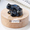 Specimen Popular Science Ornament Children's Gifts Azul Flash