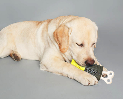 Juguete Refrescante y Limpiador Dental para Mascotas - Image 13