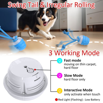 Blue and white textured dog toy with rope, shown alone and a black and white puppy carrying it. - Image 7