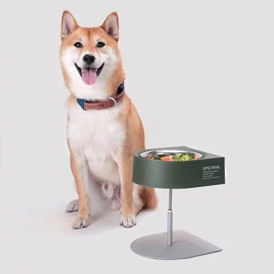 Comedero Portátil para Mascotas - Viajes y Camping - Image 7