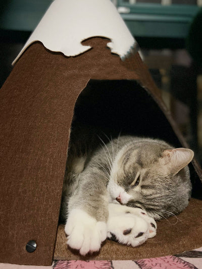 Carpa Térmica Cerrada para Gatos con Techo Nevado - Image 2