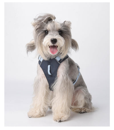 Arnés Multiusos Impermeable de Secado Rápido para Perros - Image 16