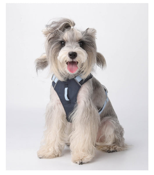 Arnés Multiusos Impermeable de Secado Rápido para Perros - Image 16
