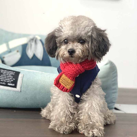 Pañuelo Bandana Térmico para Perros - Collar Cálido para Mascotas Pequeñas - Image 7