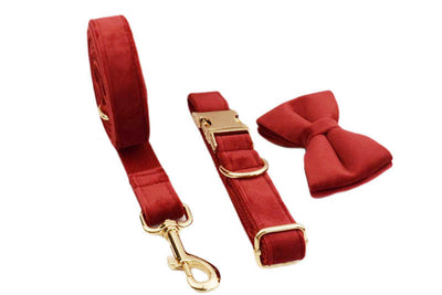 Collar de Tracción Resistente para Perros - Image 25