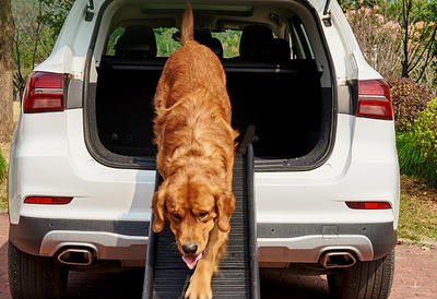 Escalera Plegable para Mascotas con Pendiente Antideslizante - Image 6
