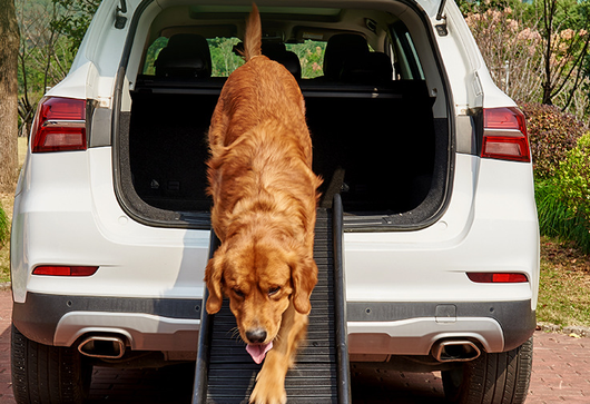 Escalera Plegable para Mascotas con Pendiente Antideslizante - Image 6