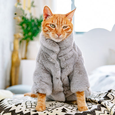 Ropa Térmica para Gatos sin Pelo - Abrigo Grueso y Suave para Otoño e Invierno - Image 4