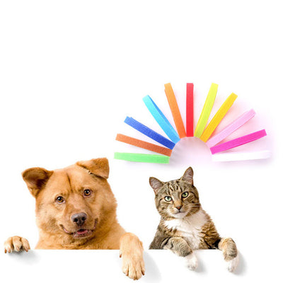 Bandas de Identificación para Mascotas Recién Nacidas - Image 10