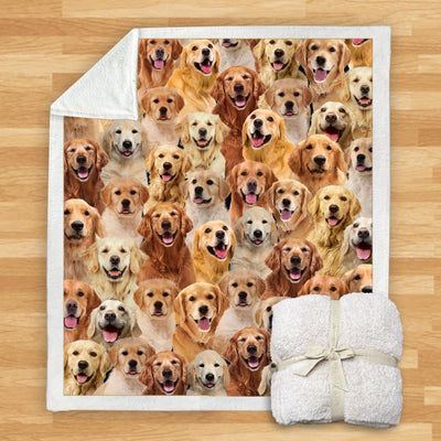 Manta Franela Estampada para Perros - Image 45