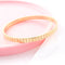 Moissanite 925 Plateado Plated Bracelet Ornament Model No 5
