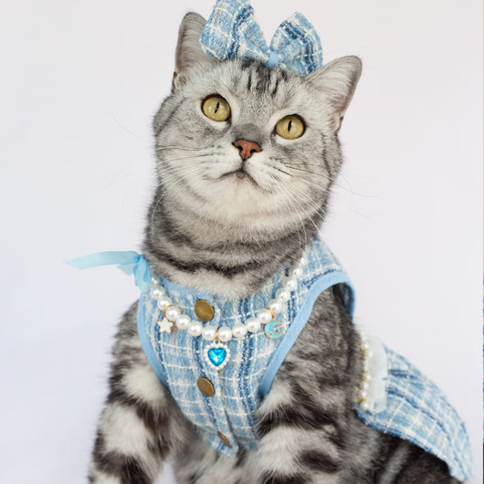 Vestido de Moda para Gatos - Falda Elegante y Adorable - Image 11