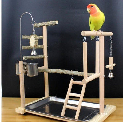 Percha Madera para Loros y Pájaros Exóticos con Diseño Natural - Image 9