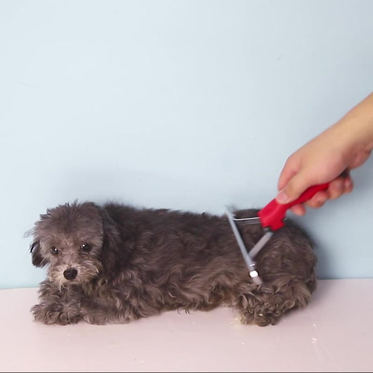 Peine Deshedding Extra Grande para Perros Grandes - Herramienta Profesional de Aseo - Image 7