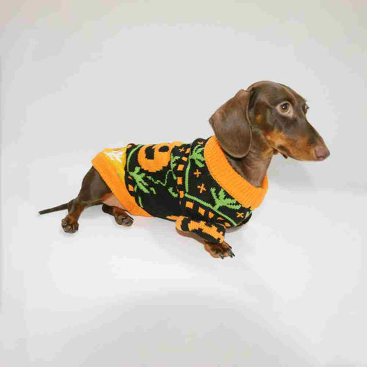 Suéter Cálido para Mascotas en Tonos Naranja - Abrigo Acogedor para Perros y Gatos - Image 3