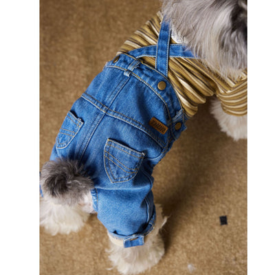 Ropa de Invierno para Perros Pequeños - Jeans Acolchado Térmico - Image 13