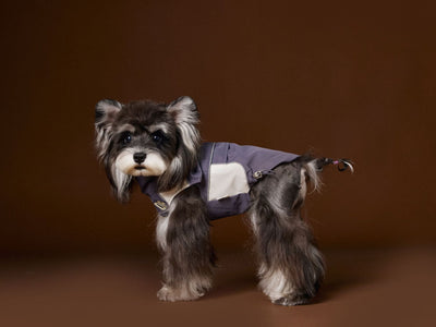 Ropa de Otoño para Perros Pequeños - Abrigos para Schnauzer, Teddy y York - Image 8