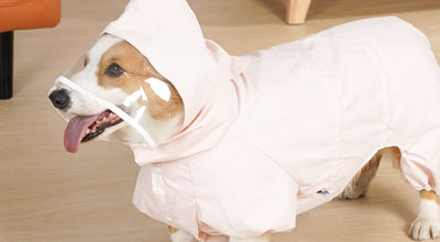 Impermeable para Perros de Cuatro Patas Resistente al Agua - Image 10
