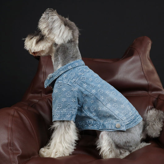 Camisa Denim Primavera Verano para Mascotas - Image 15