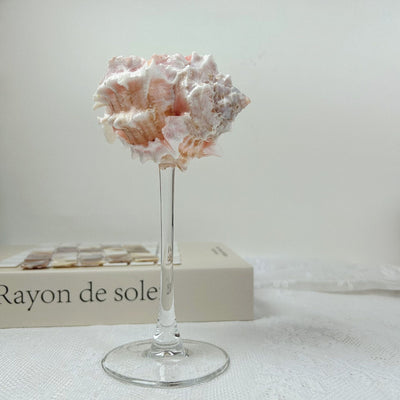 Copa Aromática Concha Marina - Difusor Decorativo Elegante - Image 9